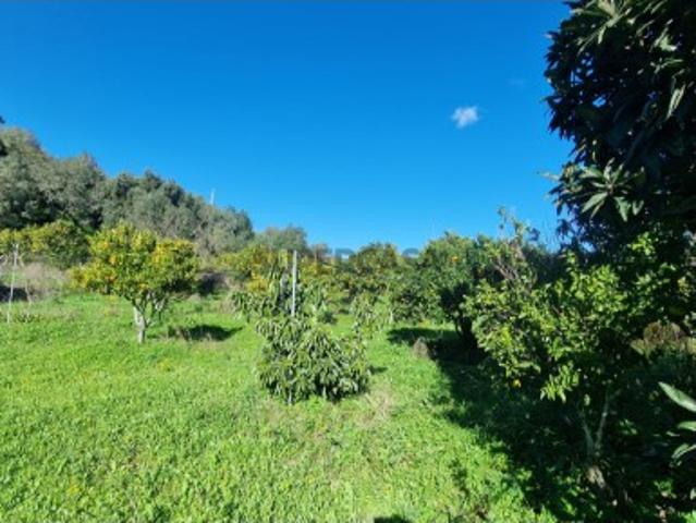 Terreno venda em Portimão, Faro