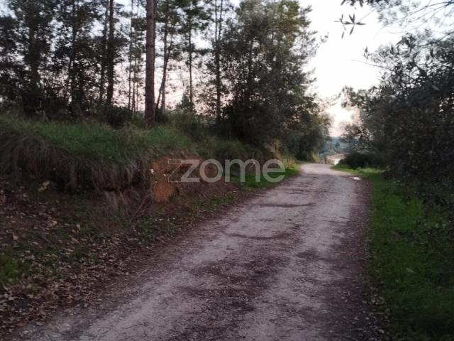 Terreno venda em Soure, Coimbra