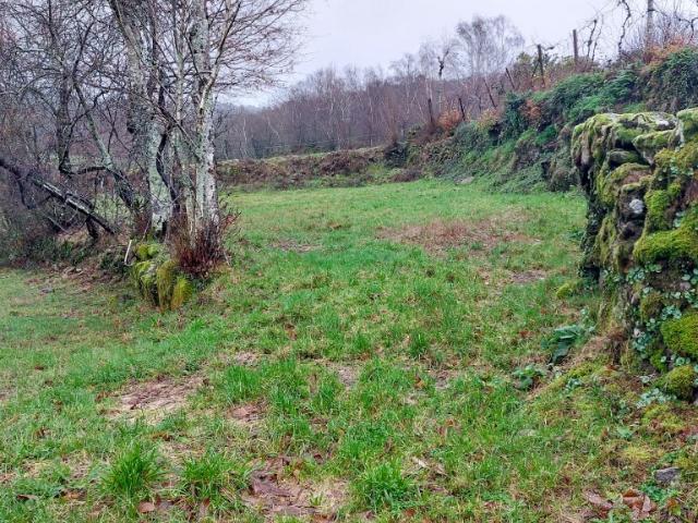 Terreno venda em Covelo de Cima, Parada Do Bouro