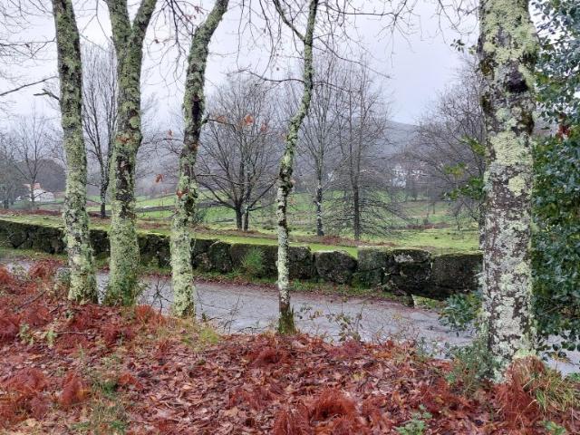 Terreno venda em Covelo de Cima, Parada Do Bouro