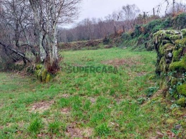 Terreno venda em Covelo de Cima, Parada Do Bouro
