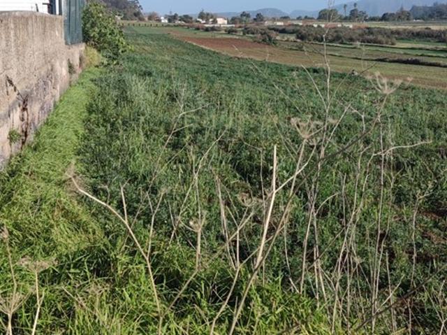 Terreno en venta en San Cristóbal de La Laguna, Canarias