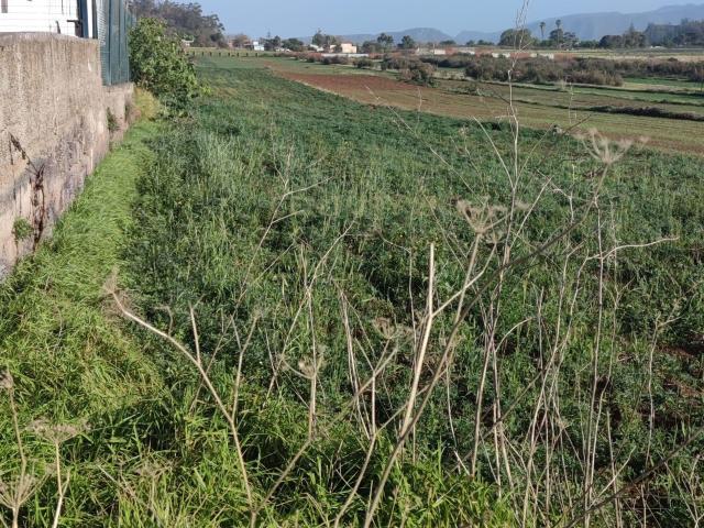 Terreno en venta en San Cristóbal de La Laguna, Canarias