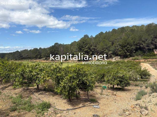 Local Comercial en venta en la Costera, Valencia
