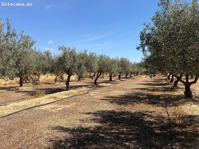 Local Comercial en venta en La Serranía, Valencia
