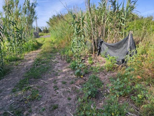Terreno venda em Torres Vedras, Lisboa