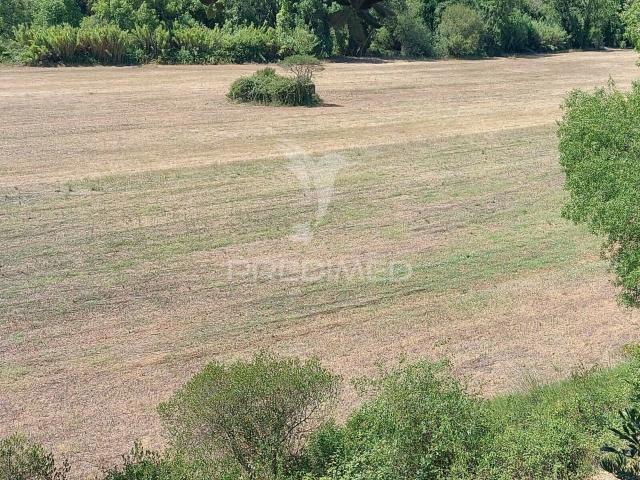 Terreno venda em Santarém