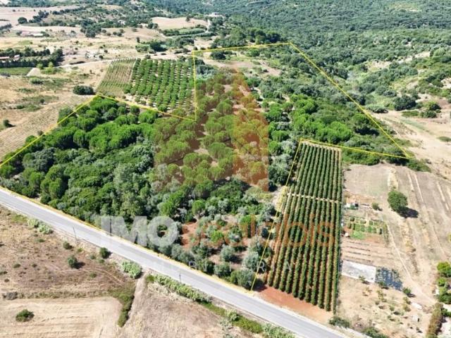 Terreno venda em Azambuja, Lisboa