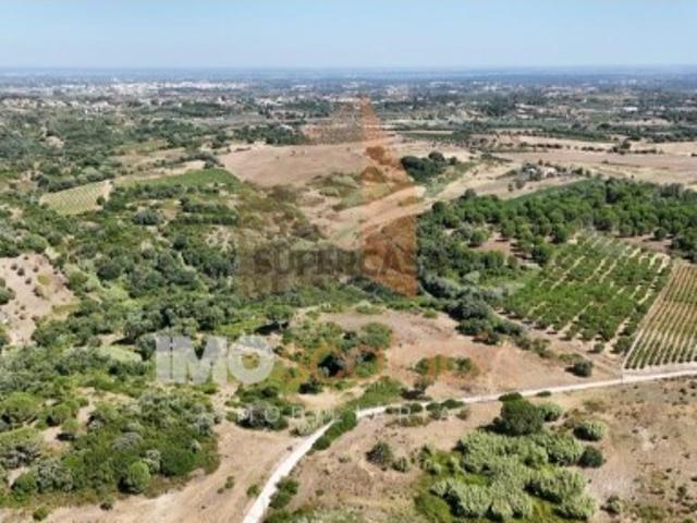 Terreno venda em Póvoa do Manique, Azambuja
