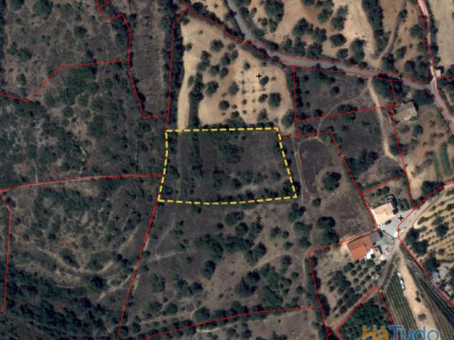 Terreno venda em Albufeira, Faro