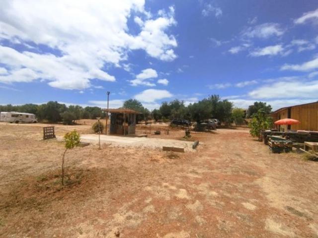 Terreno venda em São Bartolomeu De Messines, Faro