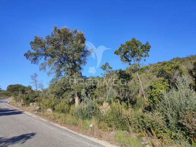 Terreno venda em Alcanena, Santarém