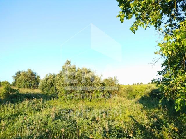 Terreno venda em Santarém