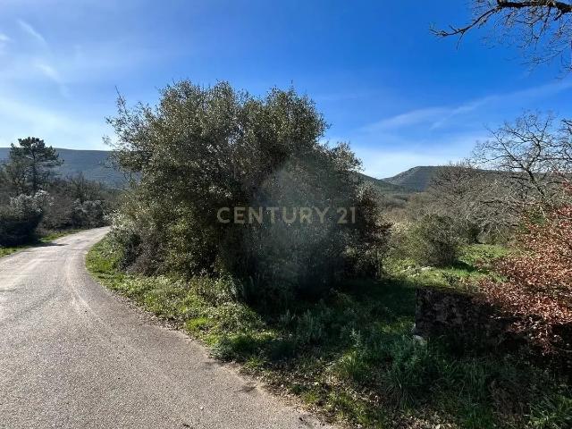 Terreno venda em Porto De Mós, Leiria