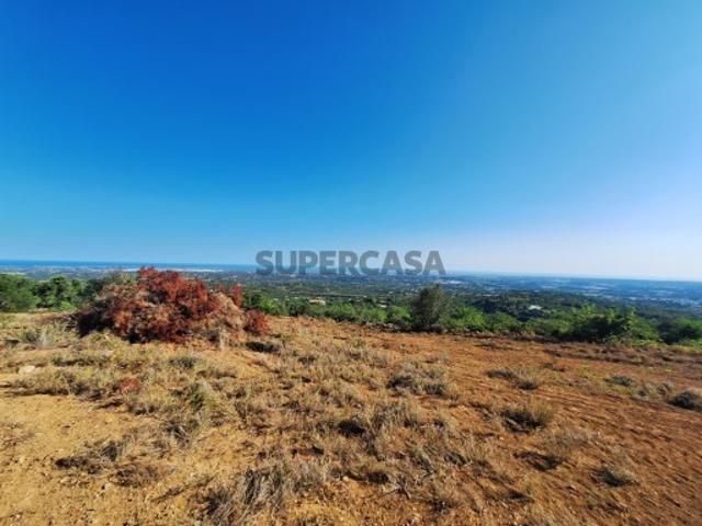 Terreno venda em Barranco de São Miguel, Faro