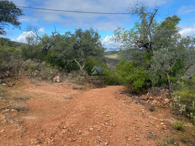 Terreno venda em Loulé, Faro