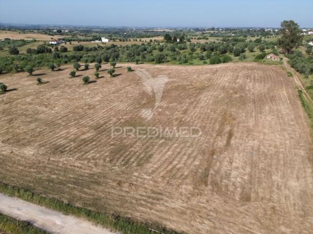 Terreno venda em Torres Novas, Santarém