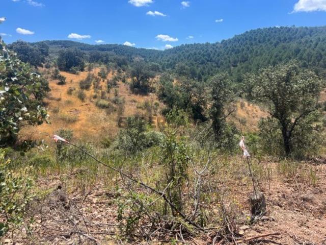 Terreno venda em Martim Longo, Faro