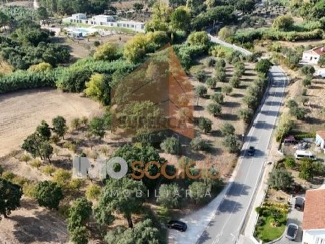 Terreno venda em Santarém