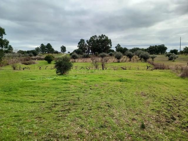 Terreno venda em Castelo Branco, Idanha-a-nova