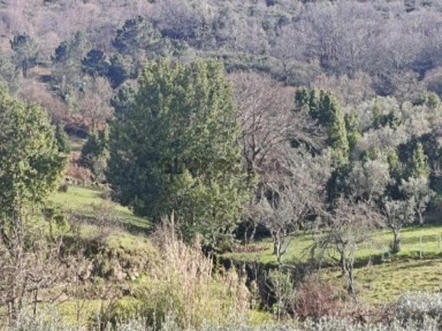 Terreno venda em Guarda, São Julião
