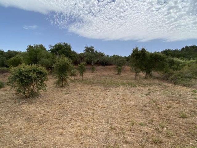 Terreno venda em Faro (Sé e São Pedro), Faro