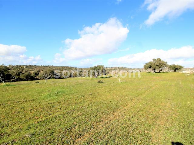 Terreno venda em Algoz, Faro