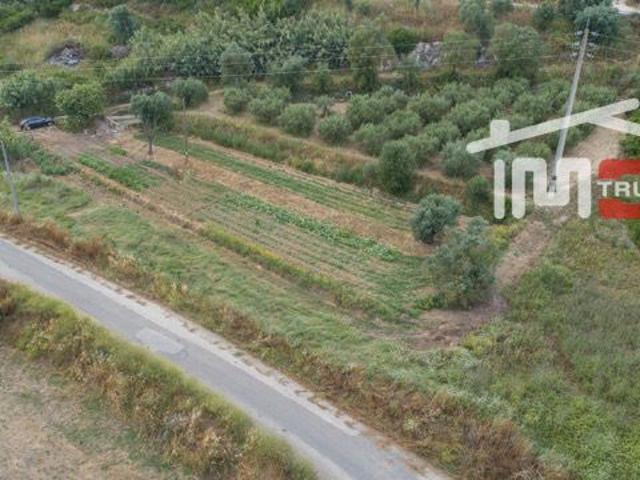 Terreno venda em Santarém