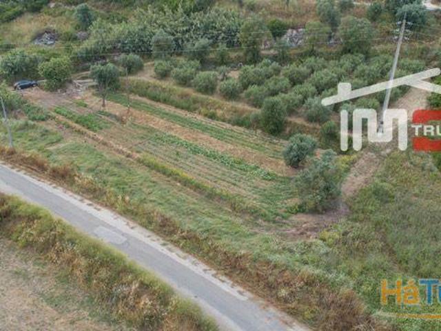 Terreno venda em Santarém