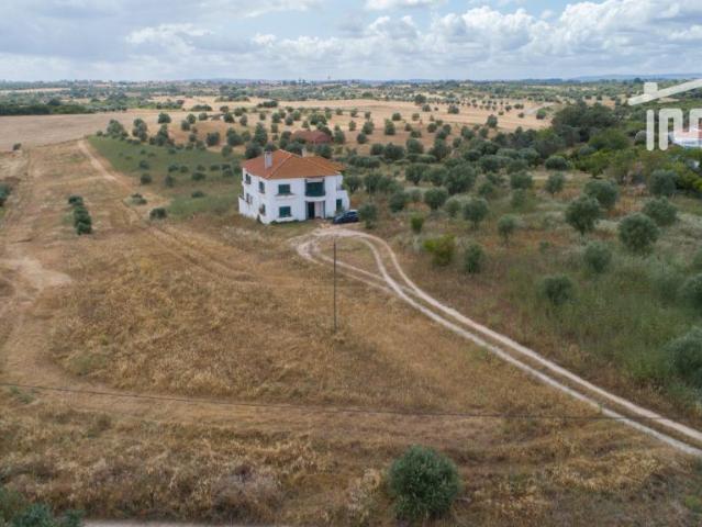 Terreno venda em Santarém