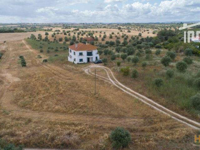 Terreno venda em Santarém