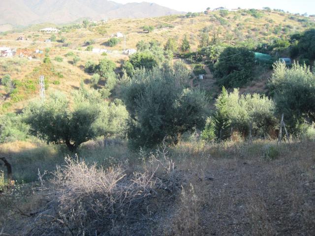 Terreno en alquiler en Mijas