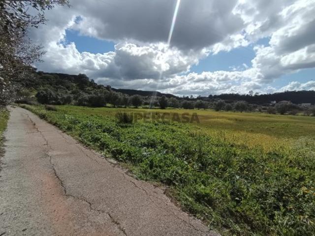 Terreno venda em Loulé, Faro
