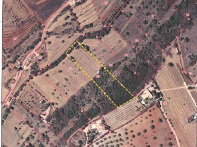 Terreno venda em Lagos, Faro