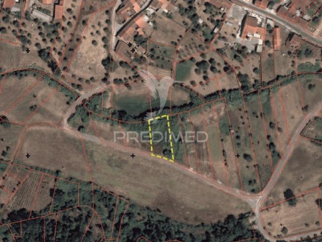 Terreno venda em Santarém