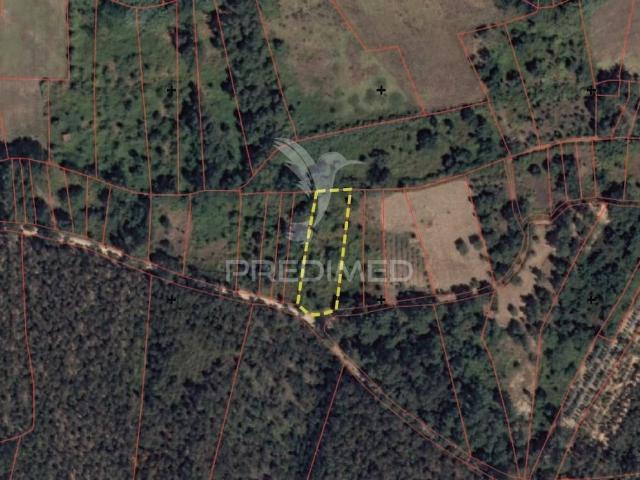Terreno venda em Santarém