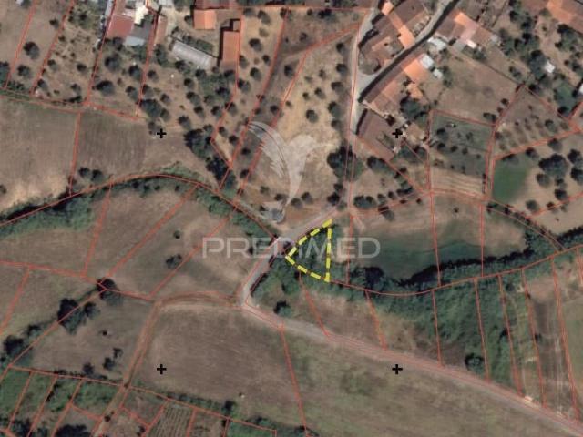Terreno venda em Santarém