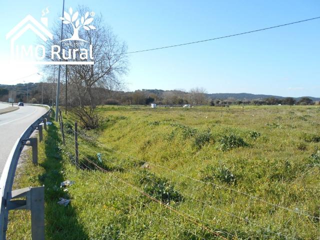 Terreno venda em Arraiolos, Évora
