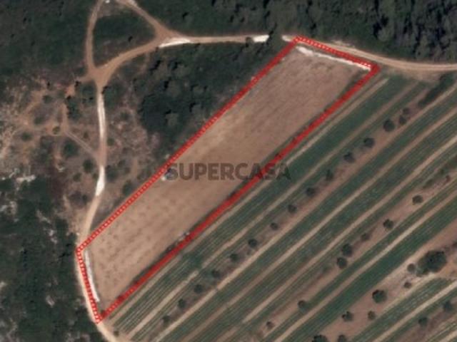 Terreno venda em Rio Maior, Santarém