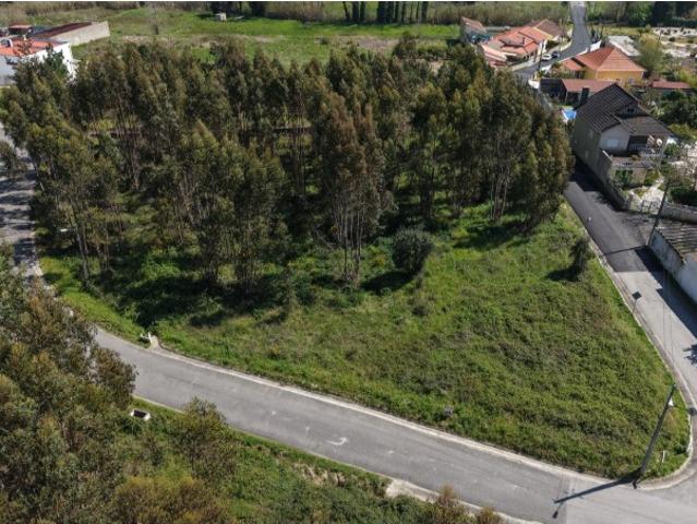Terreno venda em Asseiceira, Rio Maior
