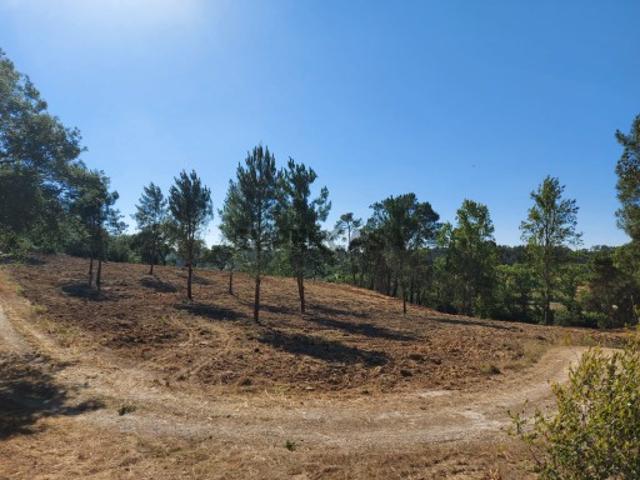 Terreno venda em Torres Novas, Santarém