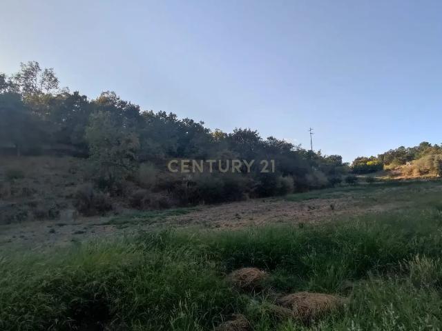 Terreno venda em Castelo Branco, Aldeia Nova Do Cabo