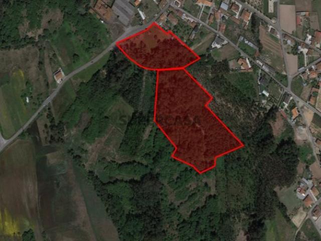 Terreno venda em Estarreja, Aveiro