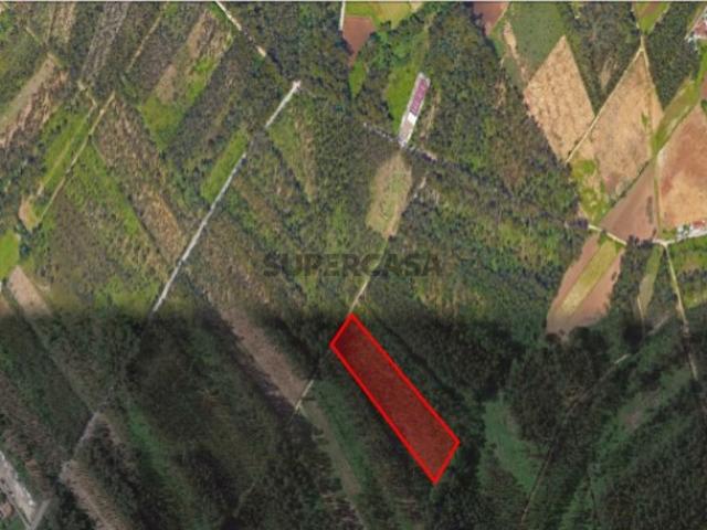 Terreno venda em Estarreja, Aveiro