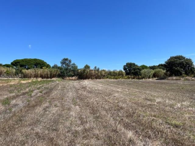 Terreno venda em Casais das Amarelas, Azambuja