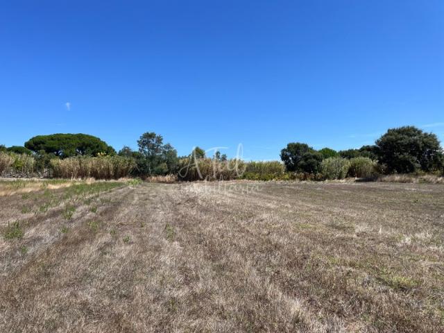 Terreno venda em Casais das Amarelas, Azambuja