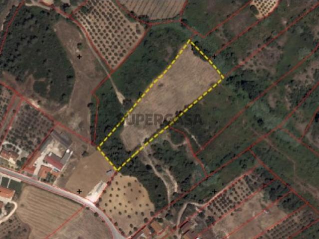 Terreno venda em Alfouvés, Rio Maior