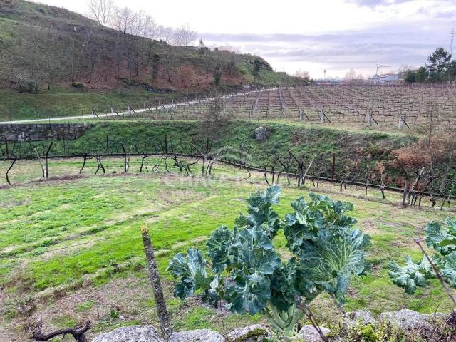 Terreno venda em Baião, Porto