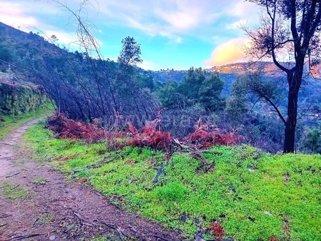 Terreno venda em Baião, Porto