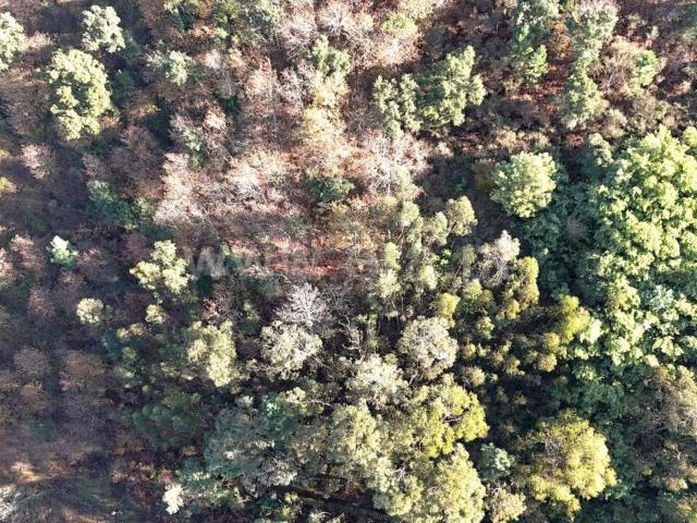 Terreno venda em Baião, Porto